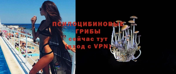 гидра Армянск