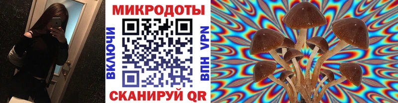 цены   Мещовск  Галлюциногенные грибы ЛСД 